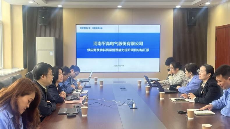 平高电气供应商质量管理项目圆满收官，携手遵旭咨询优化供应链